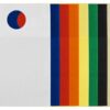 Basurin TNT 18x28cm publicitario, Basurin TNT 18x28cm promocional, basurin auto, bolsa basura auto