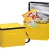 Cooler Lonchera Eco 19x15x14cm publicitario, Cooler Lonchera Eco 19x15x14cm promocional Cooler Lonchera Eco publicitario, Cooler Lonchera Eco promocional, Cooler Lonchera publicitario, Cooler Lonchera promocional, cooler reutilizable, cooler eco bolso térmico, bolsa térmica